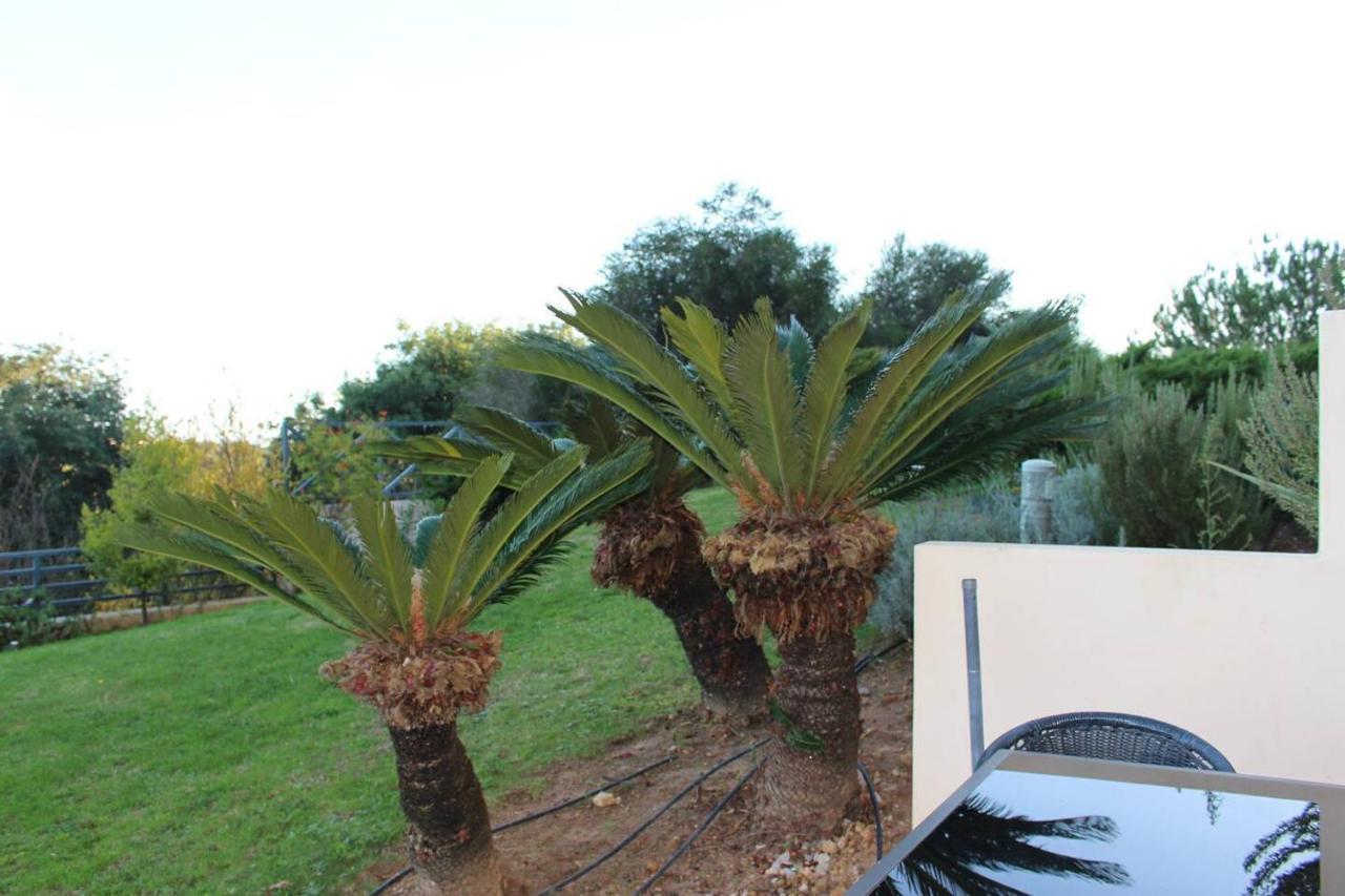 Charming 3-Bed Apartment In Albufeira Zewnętrze zdjęcie